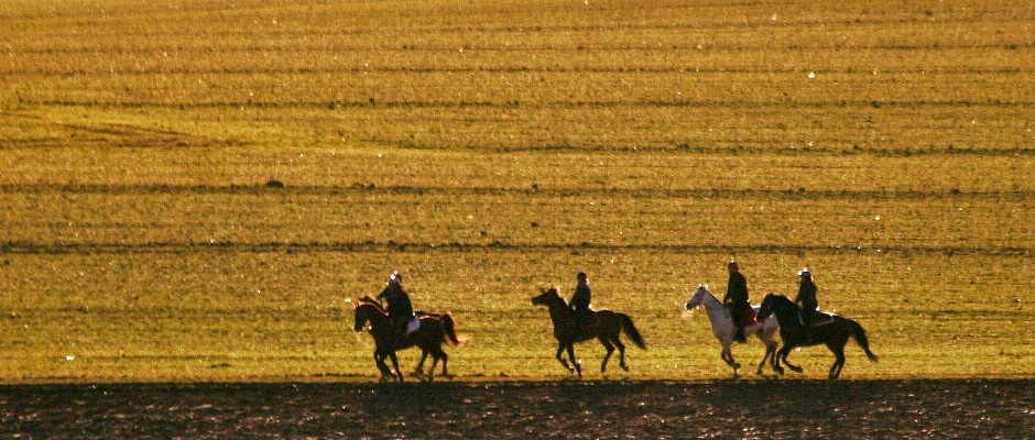 balade-équitation-ce-premium-ile-de-france comité dentreprise