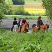 balade-equitation-ce-premium-ile-de-france-comite-d-entreprise balade-équitation-ce-premium-ile-de-france comité dentreprise