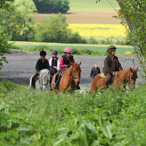 balade-équitation-ce-premium-ile-de-france comité dentreprise